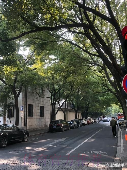 安帅:对塞巴略斯伤情感到遗憾 但我们还有魔笛 安帅:对塞巴略斯伤情感到遗憾 但我们还有魔笛